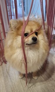 Мишкины рассказы