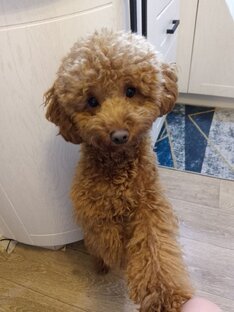 Мартин💞