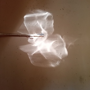 Специалисты.