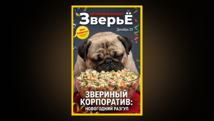 Новогодний выпуск журнала 