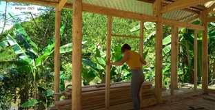 Дорис строит домик