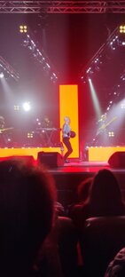 Концерты SHAMANa 