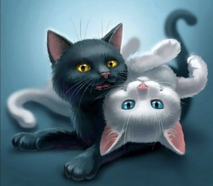 Котики - абармотики:)