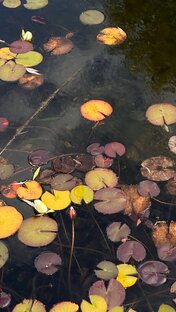 О здоровье от экспертов