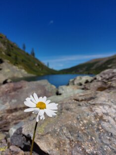 Звуки природы 