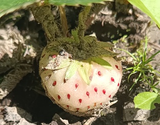 Природа, животные - позитив!