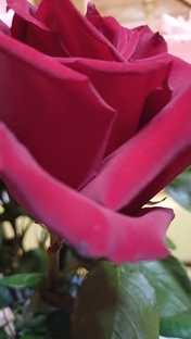 Песни круче хитов💯😁