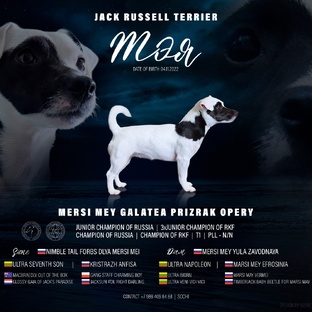 Наши производители