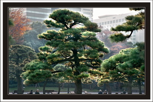 Контровой свет или силуэтная фотография. 