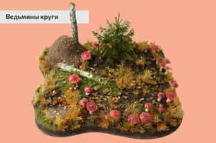 Предмет с выставки