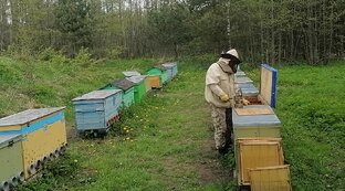 Работы на пасеке и в мастерской