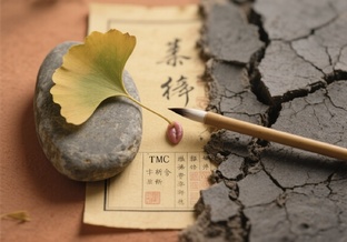 БОЛЬНИЦА ТКМ