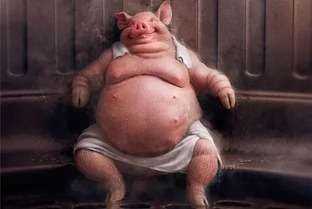 Компании Южной Котии