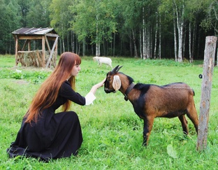 Кладбищенские подкасты. 