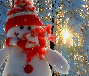 Зимняя сказка