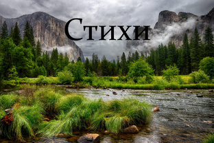 Стихи