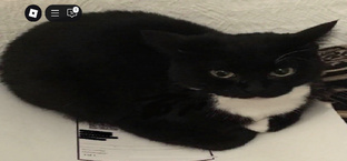 SCP-096 от 2 лиц