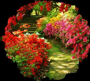 Цветоводство