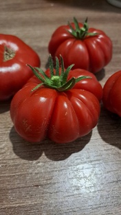 Томатная подборка