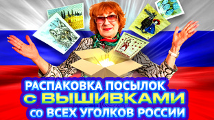 МОИ Новые ВИДЕО 
