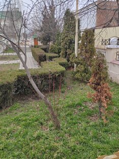 Детективные истории 