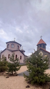 Деревня  Конюхова 