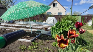 Сад и огород