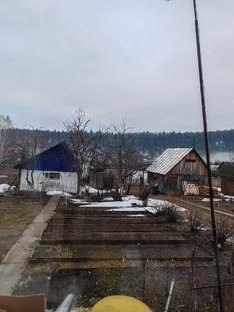 Дачные истории