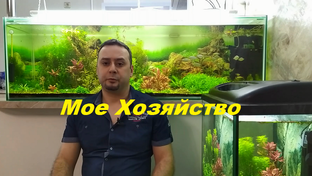 Мое Аквариумное Хозяйство