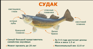 Песнь о Судаке