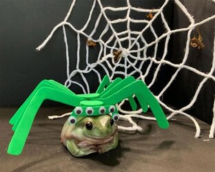 Ритуаы-чистки от паучей и жабьей порчи.