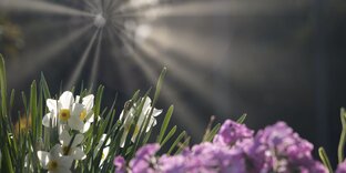 Мир вокруг нас