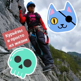 Курьёзы и просто