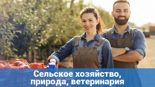 Сельское хозяйство