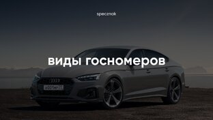 Виды госномеров