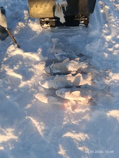 Рыбалка зимняя 2023-24 год