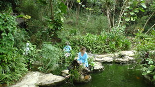 Вьетнам Нячанг (видео и статьи)