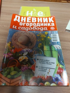 Дачные радости 