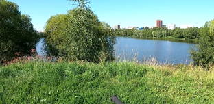 Про всякое
