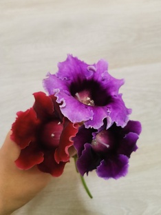 Цветы разные. 