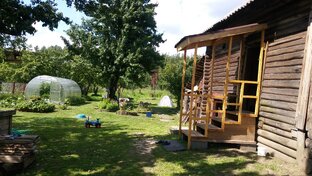 Музыкальные ролики