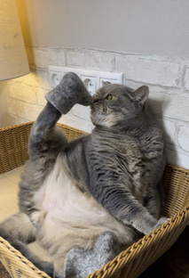 Мастер-класс по валянию валенок 