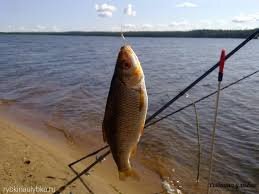 Обалденная Рыбалка на водохранилище