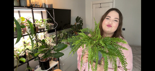 Обзоры растений 