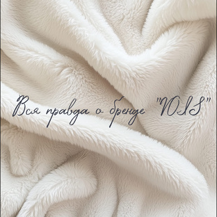 Вся правда о «VOIS»