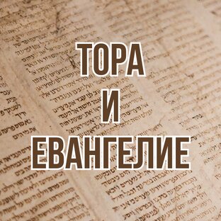 Тора и Евангелие (2014-2015, комментарии)