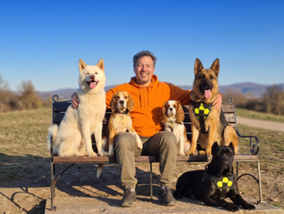 ДРЕССИРОВКА И ВОСПИТАНИЕ СОБАК