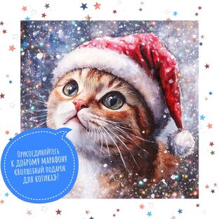 🎄Новогодний марафон «Волшебный подарок для котика»`2025