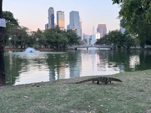 Тайланд без турагентов 2025. Большая поездка с сыном на авто.