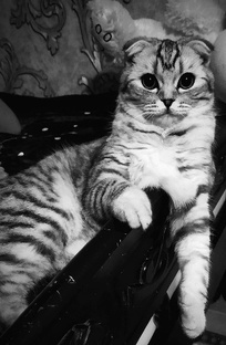 Фильмы,которые я сама смотрела и Вам рекомендую♥